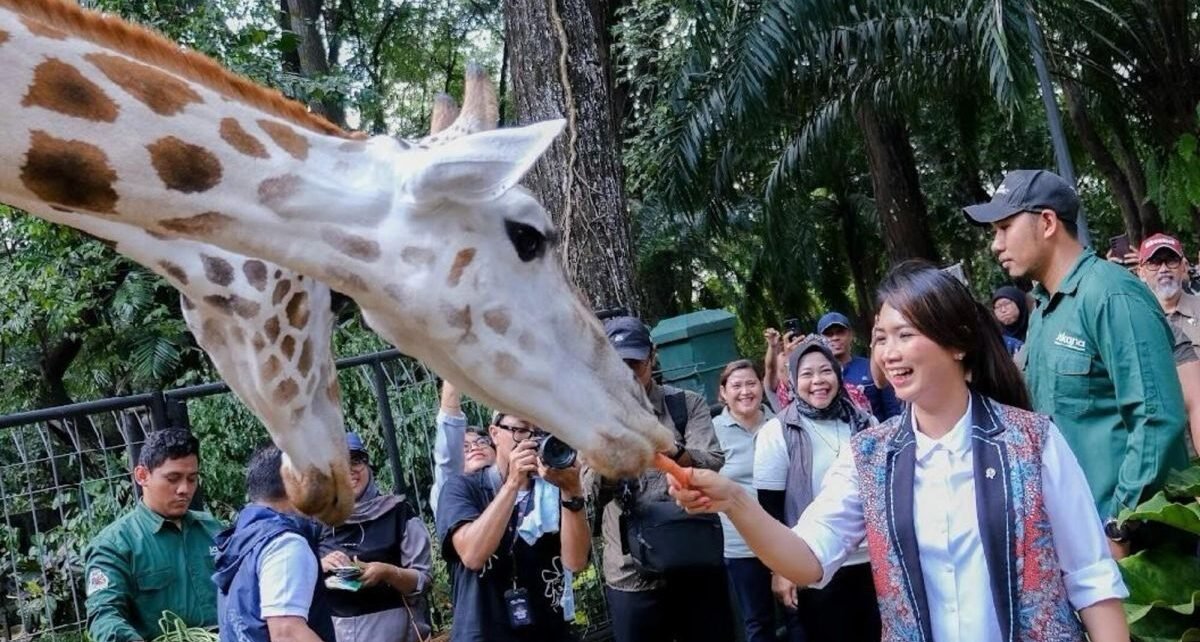 Wakil Menteri Pariwisata tinjau fasilitas Taman Margasatwa Ragunan