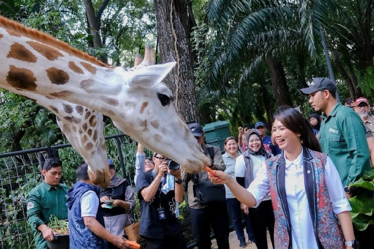 Wakil Menteri Pariwisata tinjau fasilitas Taman Margasatwa Ragunan