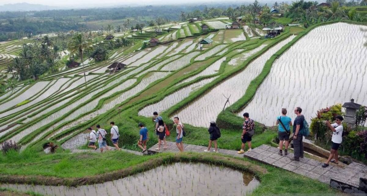 Kemenpar diharap buat "blue print" bagi desa peraih penghargaan dunia