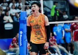 Daftar Penghargaan Proliga 2025 Putra: Farhan Halim Jadi Pemain Terbaik!. : Heartdesign Sports